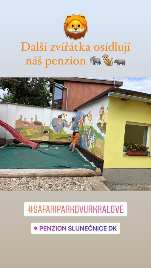 Penzion Slunecnice Dvůr Králové nad Labem Dış mekan fotoğraf