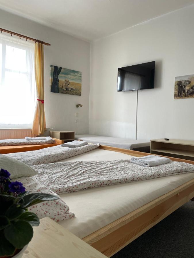 Penzion Slunecnice Dvůr Králové nad Labem Dış mekan fotoğraf
