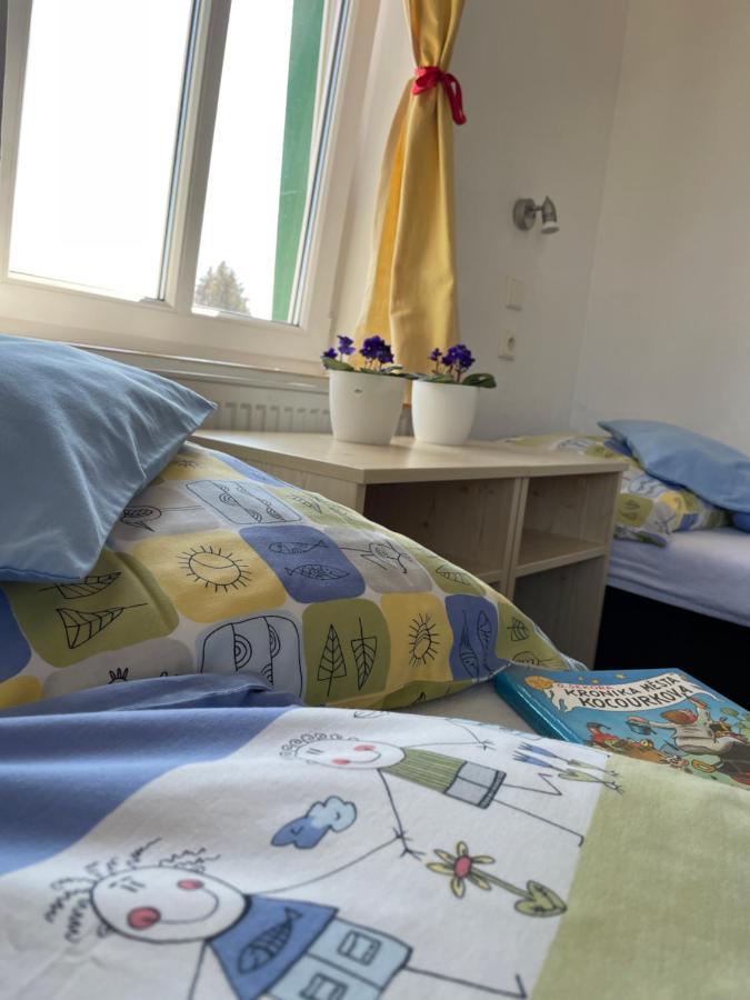 Penzion Slunecnice Dvůr Králové nad Labem Dış mekan fotoğraf